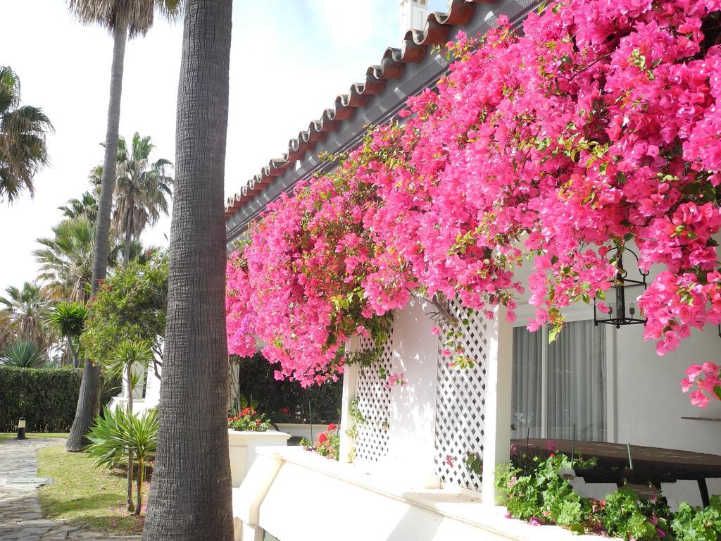 Dominion Apartments Estepona Bagian luar foto