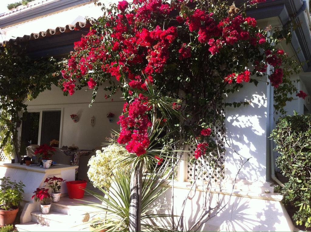 Dominion Apartments Estepona Bagian luar foto
